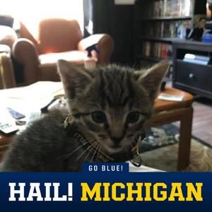 Meet your Posher, Kit